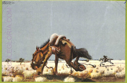 Delcampe - Af1176 - ARGENTINA - Vintage Postcard - Ethnic - Amerika