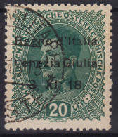 OCCUPAZIONI VENEZIA GIULIA 1918 20 HELLER N.7 USATO - Venezia Giulia