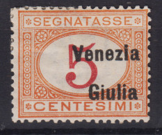OCCUPAZIONI VENEZIA GIULIA 1918 SEGNATASSE 5 CENTESIMI N.1 G.O MH* - Venezia Giulia