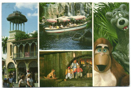 Walt Disney World - Adventureland - Disneyworld