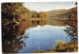 Loch Oich In The Great Glen - Inverness-shire - Inverness-shire