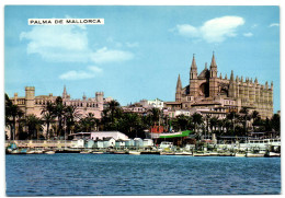 Palma De Mallorca - Catedral Y Lonja - Palma De Mallorca