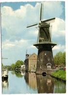 Schiedam - Korenmolen De Walvisch - Schiedam