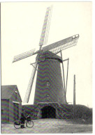 St.-Huibrechts-Lille - De Windmolen - Neerpelt