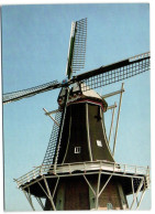 Winschoten - Molen Edens - Winschoten