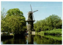 Schiedam - Molen De Walvisch - Korenmolen - Schiedam