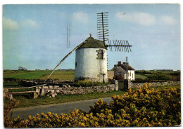 Le Vieux Moulin De Narbon à Erdeven - Erdeven