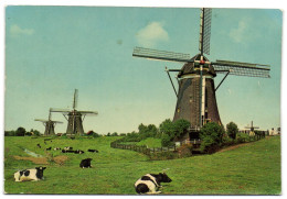 Leidsschendam- Buurtschap Wilsveen (Hamlet If Wilsveen) - Ondermolen Van Driegang Van De Driemanspolder - Leidschendam