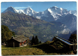 Isenfluh - Sulwald Mit Eiger Mönch Und Jungfrau - Wald