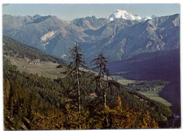 Beim Ofenpass - Blick Ins Münstertal Mit Lü - Fuldera Und Ortler - Fuldera