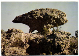 Languedoc - Cirque De Mourèze - La Tortue - Languedoc-Roussillon