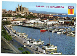 Palma De Mallorca  - Vista Club Nautico Y Catedral - Palma De Mallorca