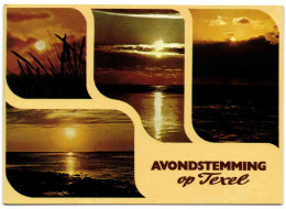 Avondstemming Op Texel - Texel