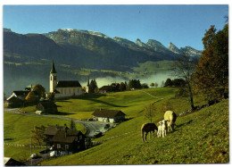 Wildhaus Mit Chrufirsten - Wil