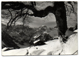 Braunwald / GI Mit Selbsanft Bifertenstock U. Tödi - Braunwald