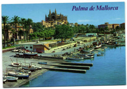 Palma De Mallorca - Puerto Pesquero - Catedral - Palma De Mallorca