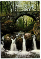 La Pittoresque Cascade Du Schiessentümpel Au Müllerthal - Muellerthal