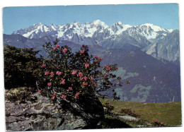 Verbier - Le Massif Du Trient Vu Depuis Les Ruinettes - Trient