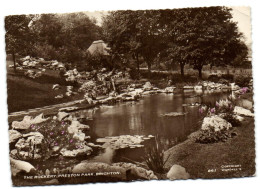 Brighton  - The Rockery - Preston Park - Brighton