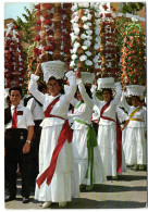 Tomar - Festa Dos Tabuleiros - Santarem