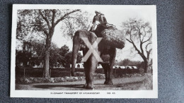 ELEPHANT TRANSPORT OF AFGANISTAN NORTH WEST FRONTIER PROVINCE R/P POSTCARD N.W.F.P. - Afghanistan