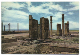 Iran - Persepolis Portals Of Xerxes Palace - Iran