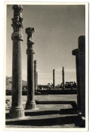 Persépolis - Iran