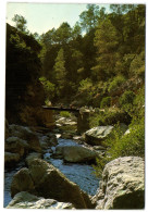 Sierra De Cazorla (Jaen) - Rio Borosa - Puente Del Cinorrio - Jaén