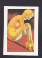 CPM PIN UP Nu Féminin Académique Artistique Femme Nue érotisme Risque Pin Up Non Circulé - Pin-Ups