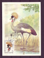 USSR 1984 MiNr. 5359 120 Years Of Moscow Zoo The Grey Crowned Crane  (Balearica Regulorum) 1v MC - Kranichvögel