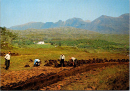 11-10-2023 (4 U 3) UK - Scotland - Peat-Working Below Quinag - Sutherland