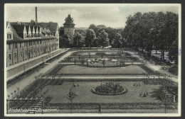 ASCHERSLEBEN - Rosarium - 1942 Old Postcard (see Sales Conditions) 09236 - Aschersleben