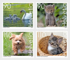 Switzerland Suisse Schweiz 2023 Cute Animals Set Of 4 Stamps Mint - Chats Domestiques