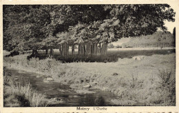 BELGIQUE - Moircy - L'Ourthe - Carte Postale Ancienne - Autres & Non Classés