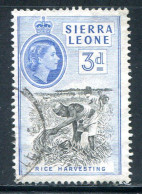 SIERRA LEONE- Y&T N°185- Oblitéré - Sierra Leone (...-1960)