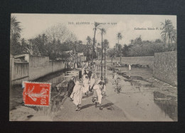 Algérie. Rue D'Alger. - Mannen