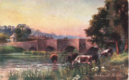 ARTS - Peintures Et Tableaux - Bakewell Bridge - Carte Postale Ancienne - Paintings