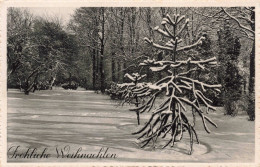 FÊTES ET VOEUX - Fröliche Weihnachten - Carte Postale Ancienne - Otros & Sin Clasificación