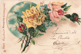 FLEURS - Rose - Fraîcheur - Colorisé - Carte Postale Ancienne - Flowers