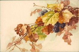 CATHARINA KLEIN SIGNED 1910s POSTCARD - GRAPE - N.212  (4938) - Klein, Catharina