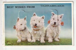 CARTE A SYSTEME - TIGHNABRUAICH - BEST WISHES FROM ... - Altri & Non Classificati