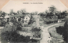 SENEGAL - Dakar - Le Jardin Public - Carte Postale Ancienne - Sénégal