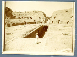 °°° Cartolina - N. 1568 Foto Pozzuoli L'anfiteatro °°° - Pozzuoli