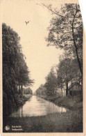 BELGIQUE - Anvers - Kasterlee - Nethezicht - Carte Postale Ancienne - Kasterlee