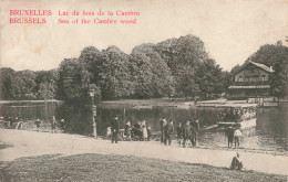 BELGIQUE - Bruxelles - Lac Du Bois De La Cambre - Carte Postale Ancienne - Forêts, Parcs, Jardins