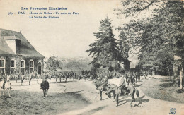 Pau * Le Haras De Gelos * Un Coin Du Parc * La Sortie Des étalons * équitation Hippisme Hippique - Pau