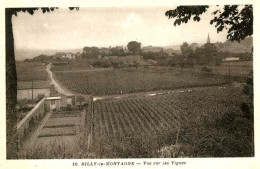 RILLY La MONTAGNE = Vue Sur Les Vignes    5358 - Rilly-la-Montagne