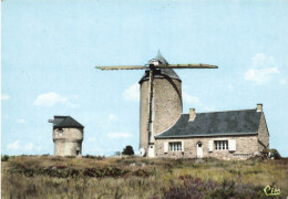 Marzan * Vue Sur Les Moulins * Moulin à Vent Molen - Autres & Non Classés