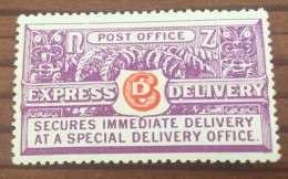 Neuseeland Eilmarke 1903 MH* - Express Delivery Stamps