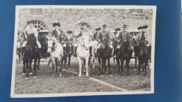 St Clair Sur Elle Carte Photo  Cortège , Cavaliers Costumés à Cheval - Avranches